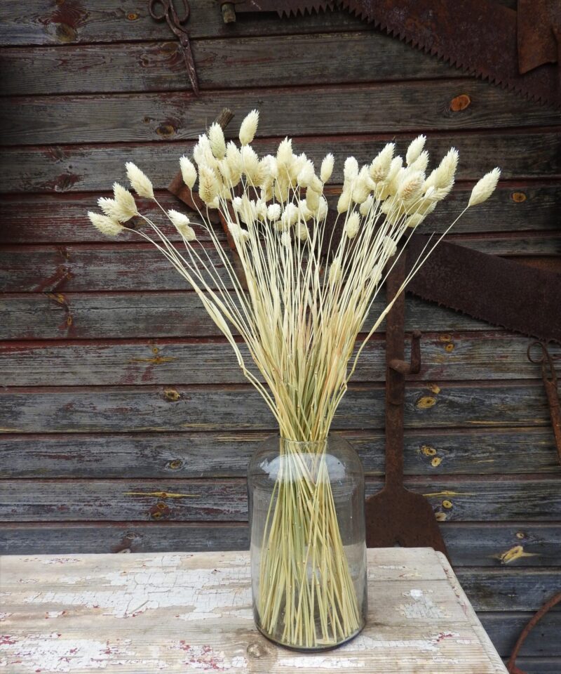 Fénymag - fehérített