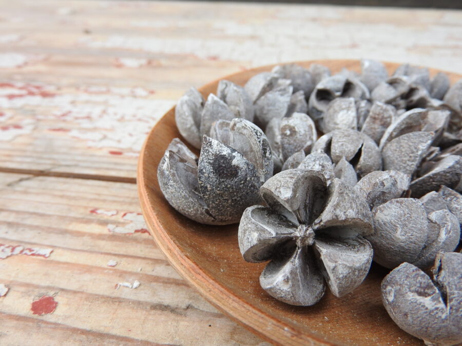 Tulipán termés - színes - Image 5