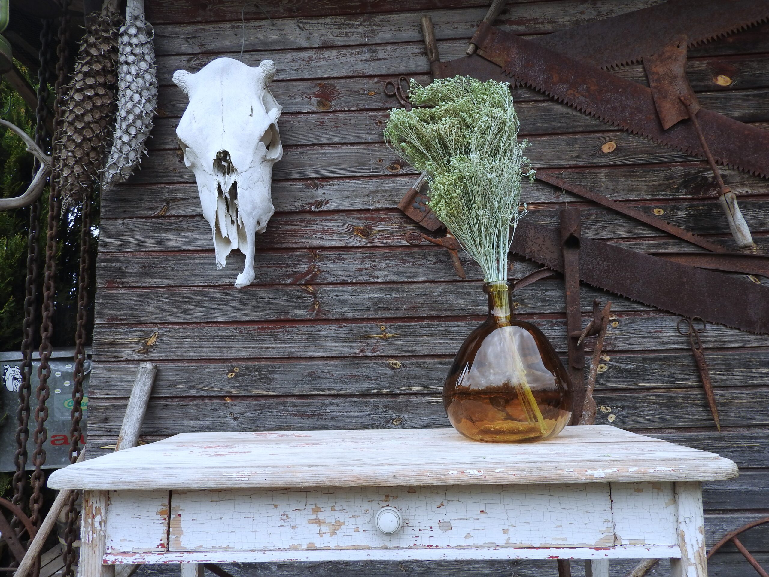 Broom bloom - türkiz