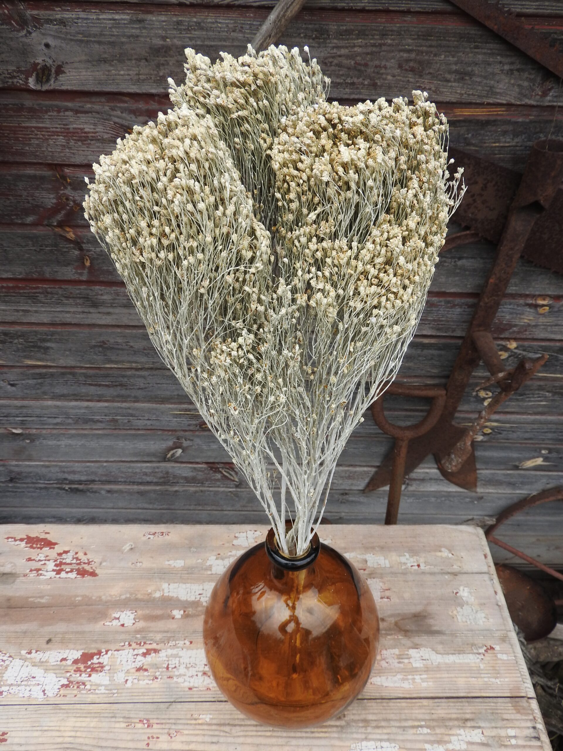 Broom bloom - fehér - Image 2