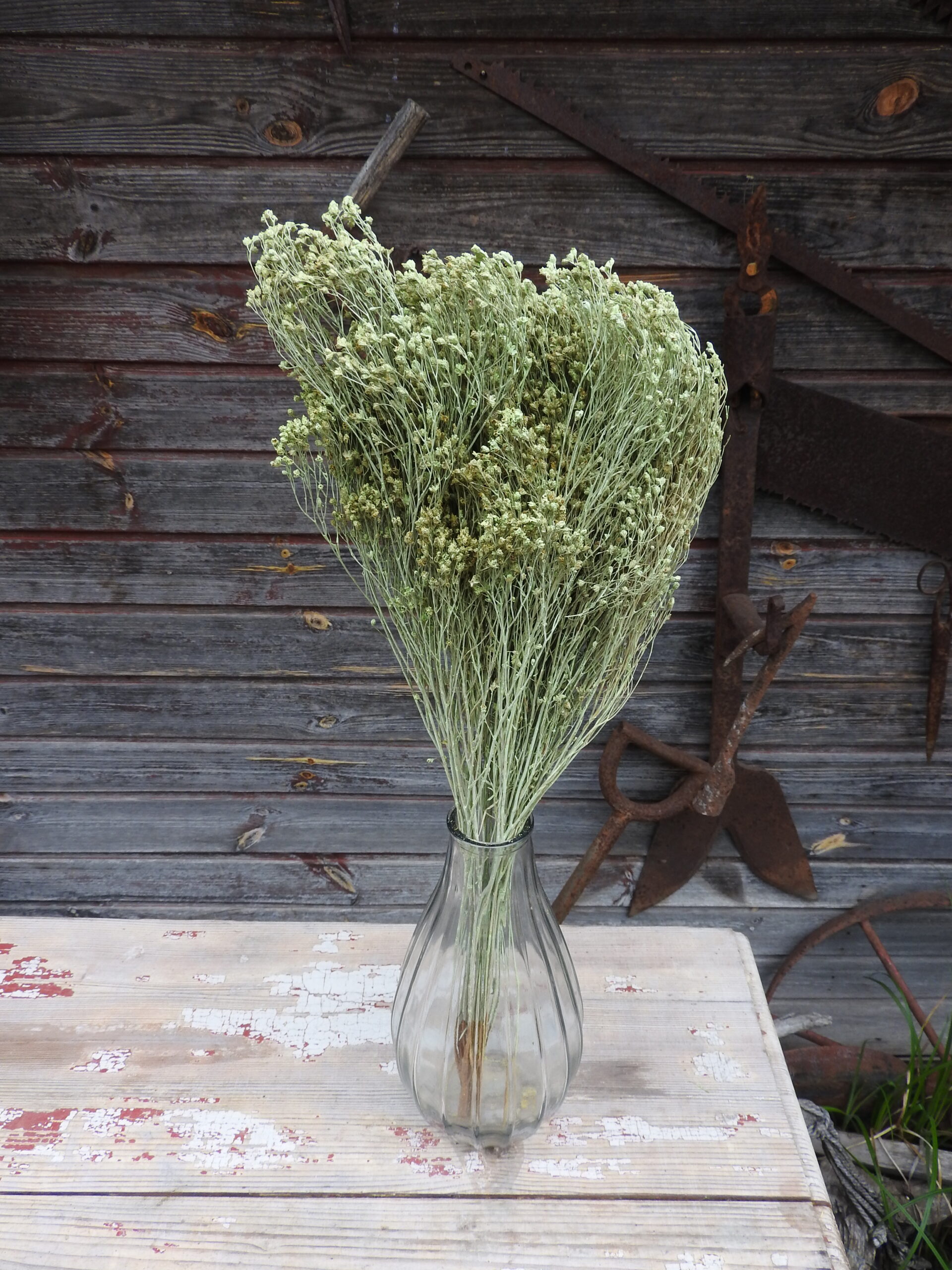 Broom bloom - világos zöld - Image 2