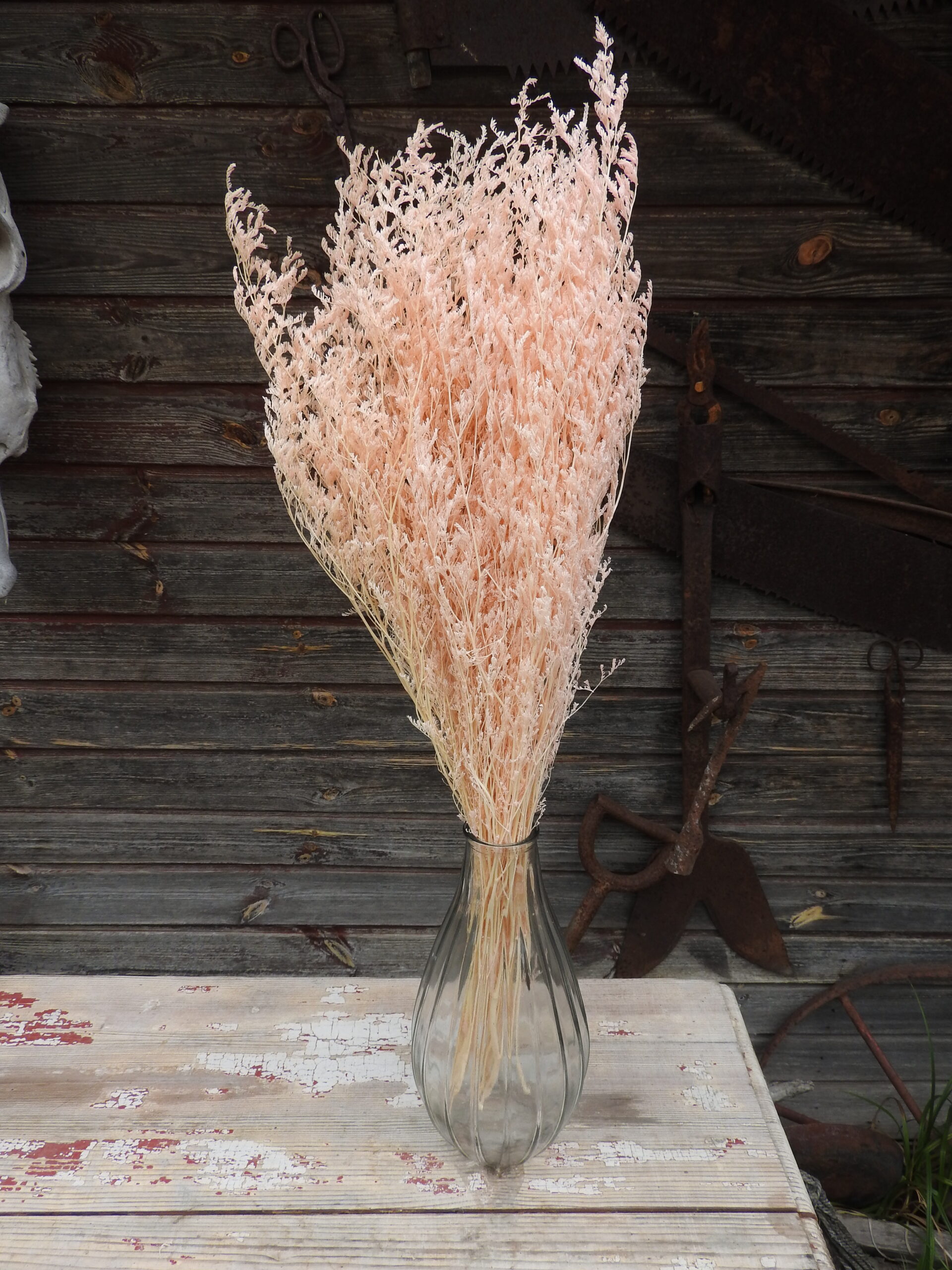 Sóvirág - Limonium L. (tartósított) - barack - Image 2