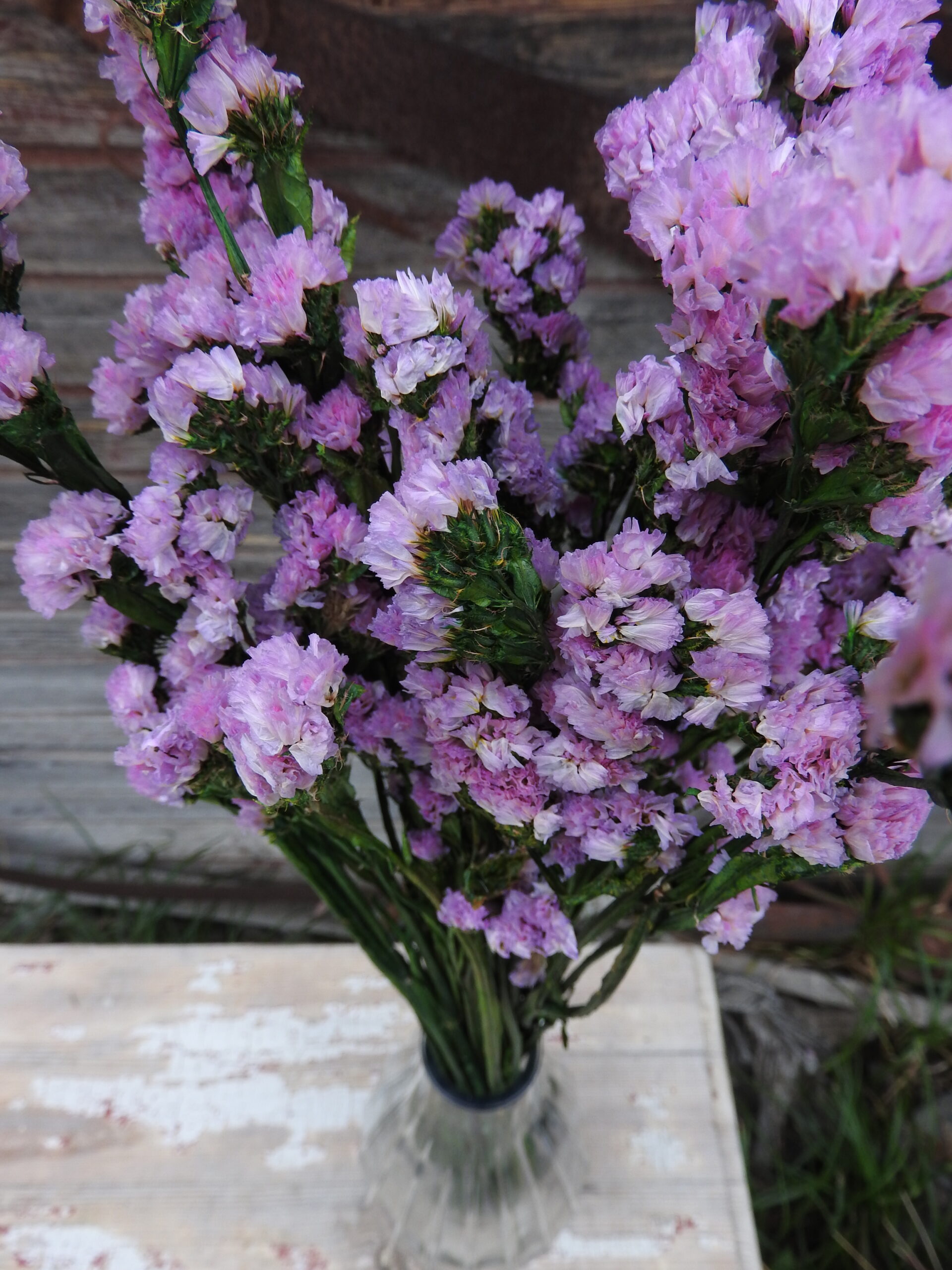 Sóvirág - Limonium (tartósított) - rózsaszín