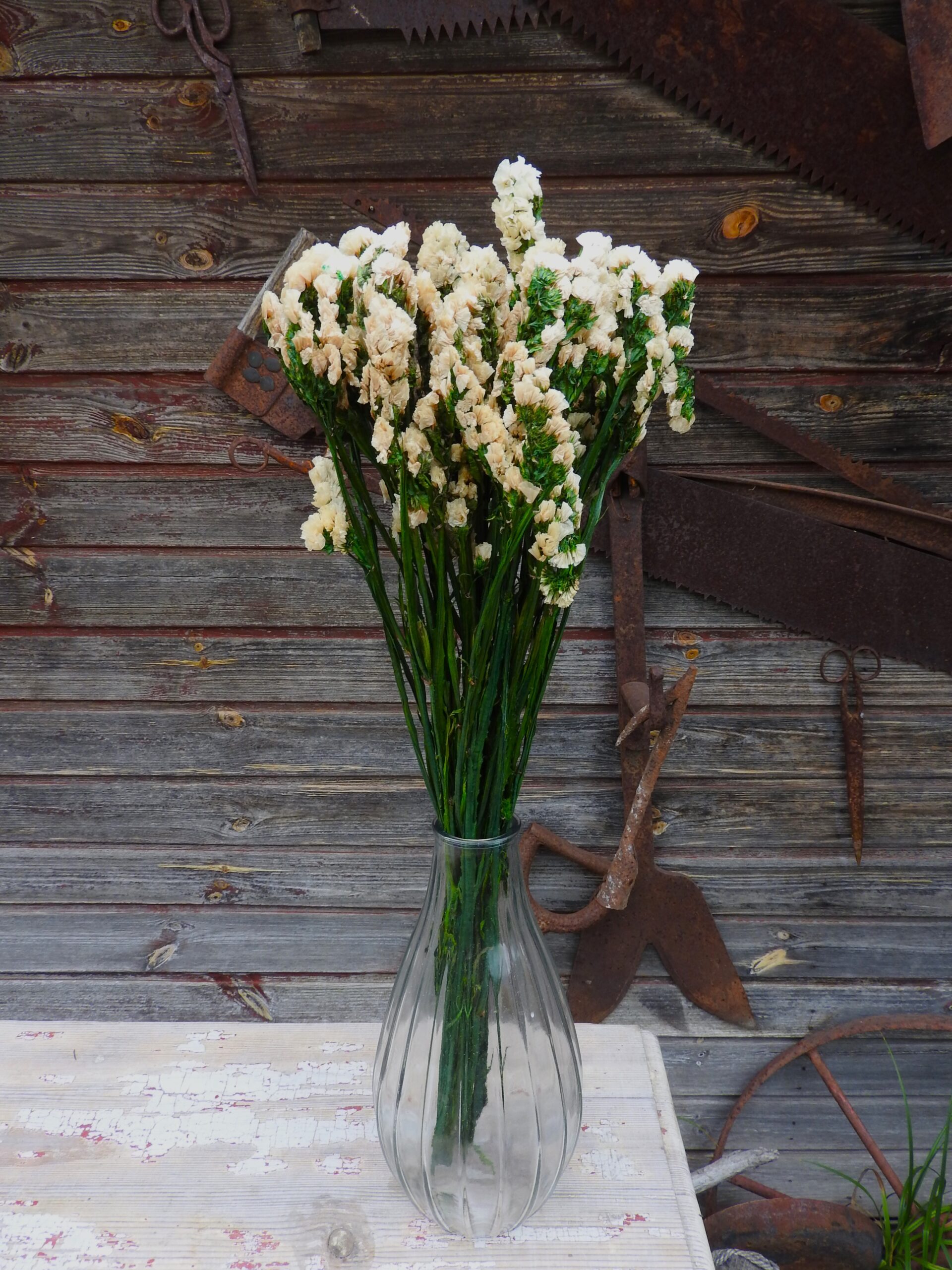 Sóvirág - Limonium (tartósított) - krém - Image 3