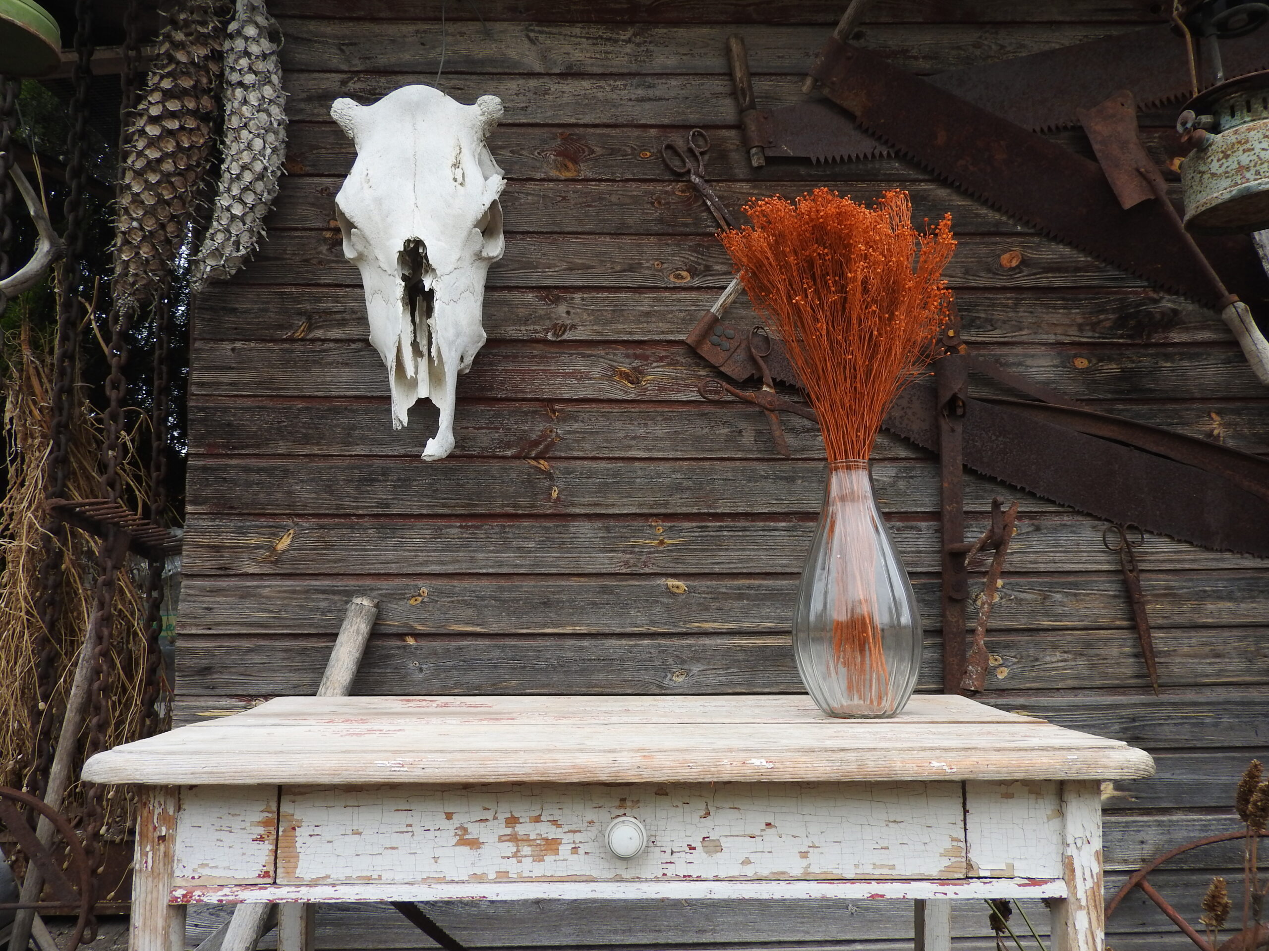 Broom bloom - narancs - Image 3