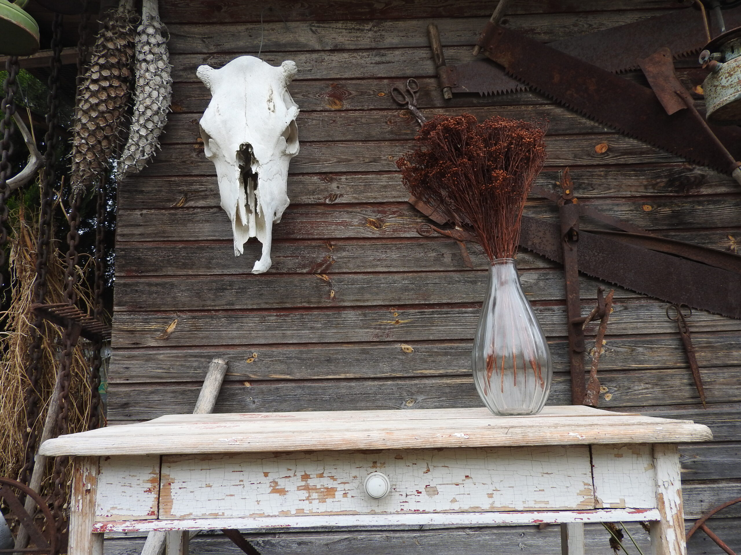 Broom bloom - barna - Image 2