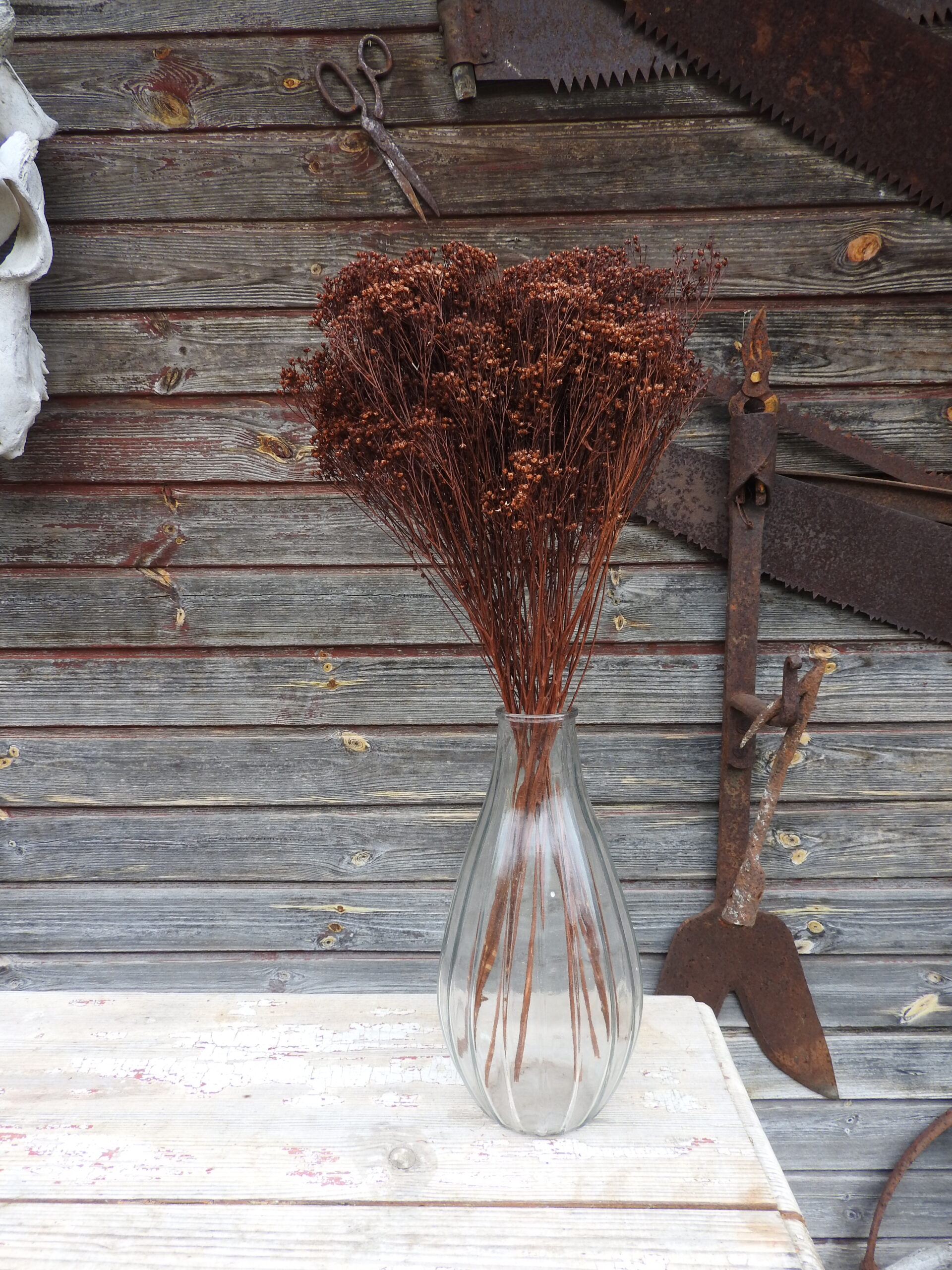 Broom bloom - barna - Image 3