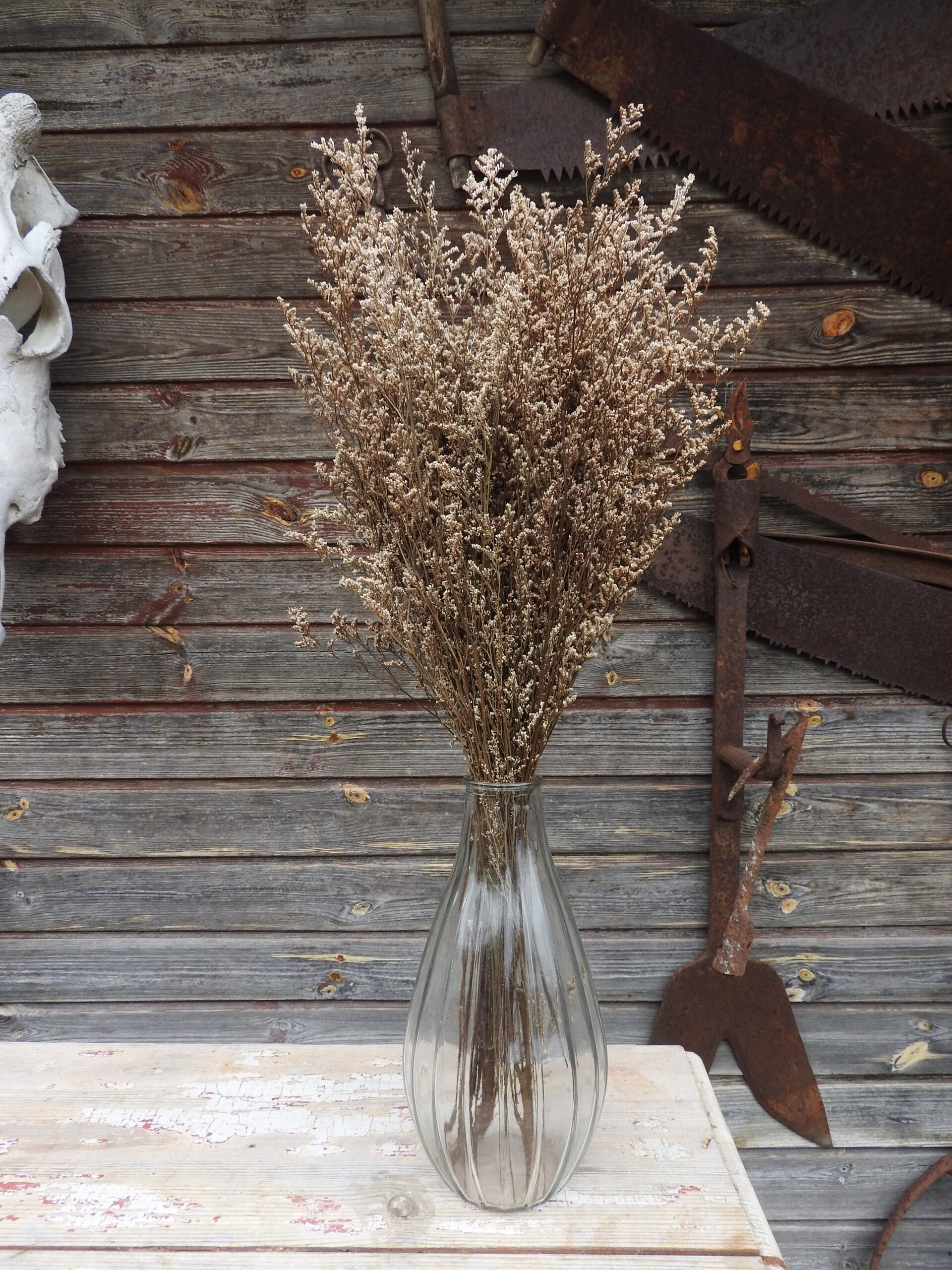 Sóvirág - Limonium L. (tartósított) - fehér - Image 3